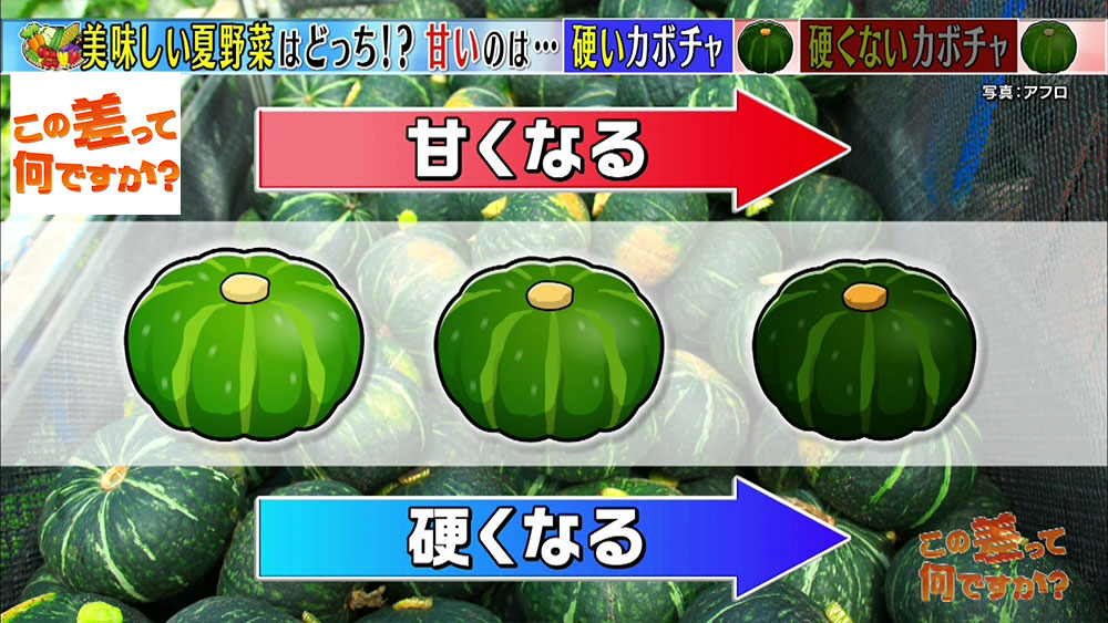 知っておくと得する おいしい野菜の見分け方3選 この差って何ですか ニュース テレビドガッチ