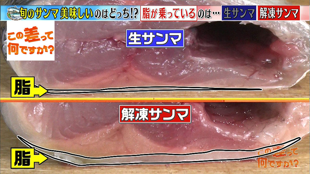 超簡単】スーパーで美味しい魚を見分ける方法5選! この差って何です