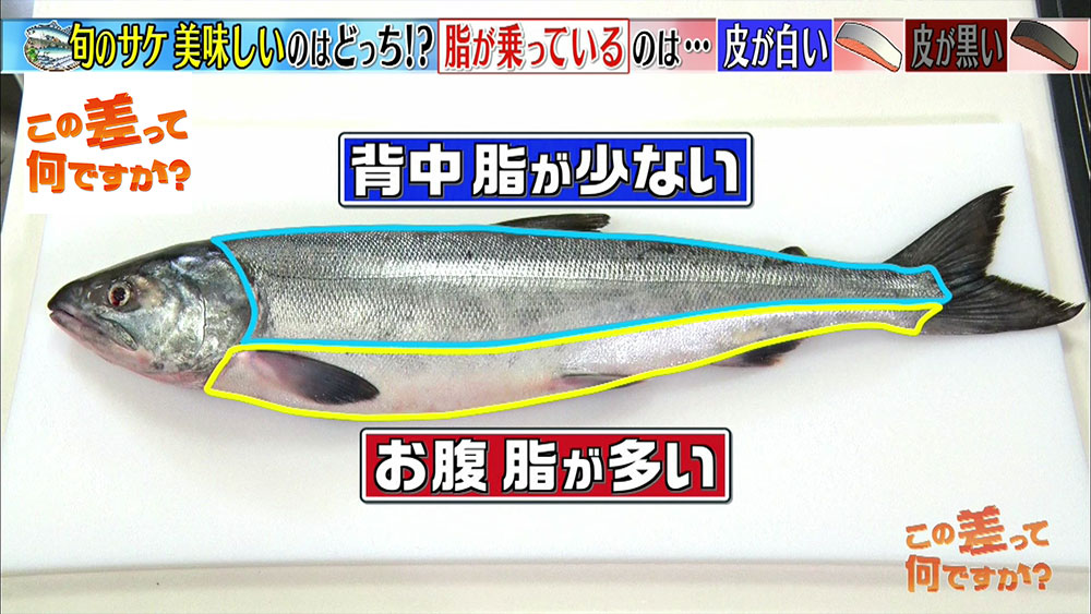 超簡単 スーパーで美味しい魚を見分ける方法5選 この差って何ですか ニュース テレビドガッチ