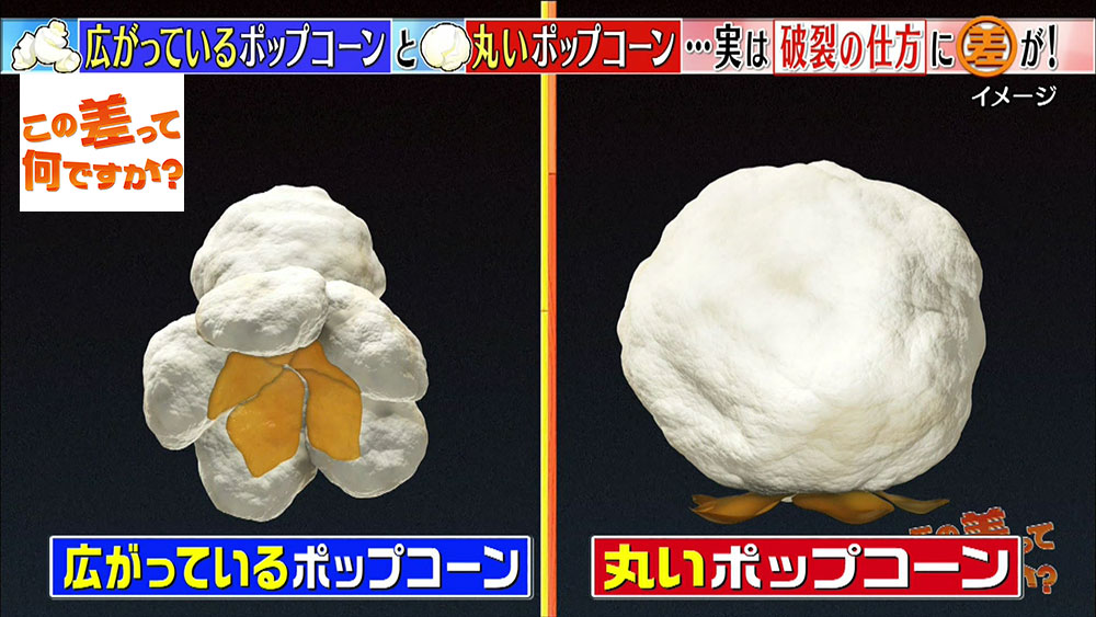 皮に実がくっつくかどうか