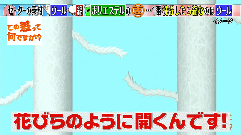 簡単ケア 洗濯で縮んだセーター を元通りにできるって知ってた この差って何ですか ニュース テレビドガッチ