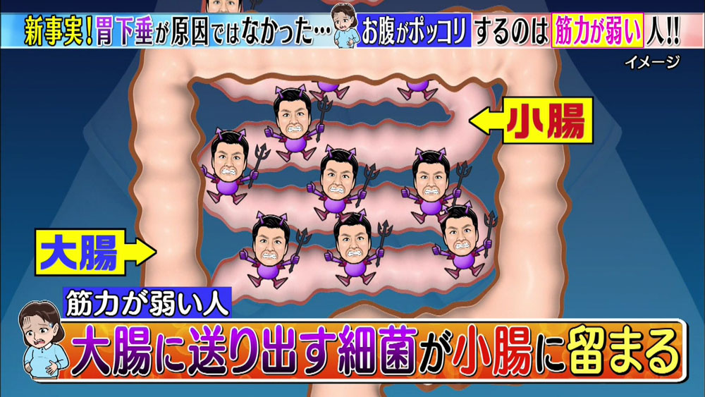 食後にお腹が出る 胃下垂 は間違い その原因と対策とは この差って何ですか ニュース テレビドガッチ 食後にお腹が出る 胃下垂 は間違い その原因と対策とは この差って何ですか ニュース テレビドガッチ