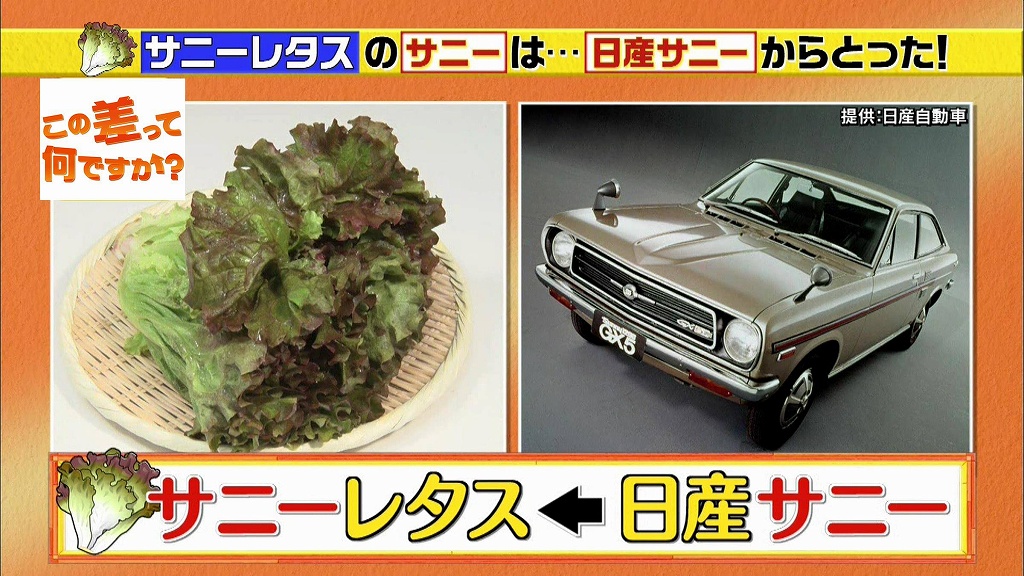 野菜 sunny 名前を変えて大成功！あの野菜の名前の知られざる裏話｜TBSテレビ