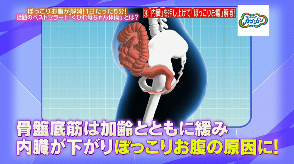 骨盤底筋
