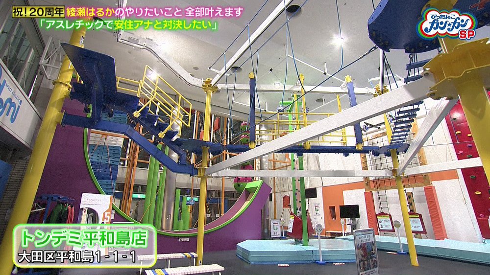 29種類の遊具が揃うトンデミ
