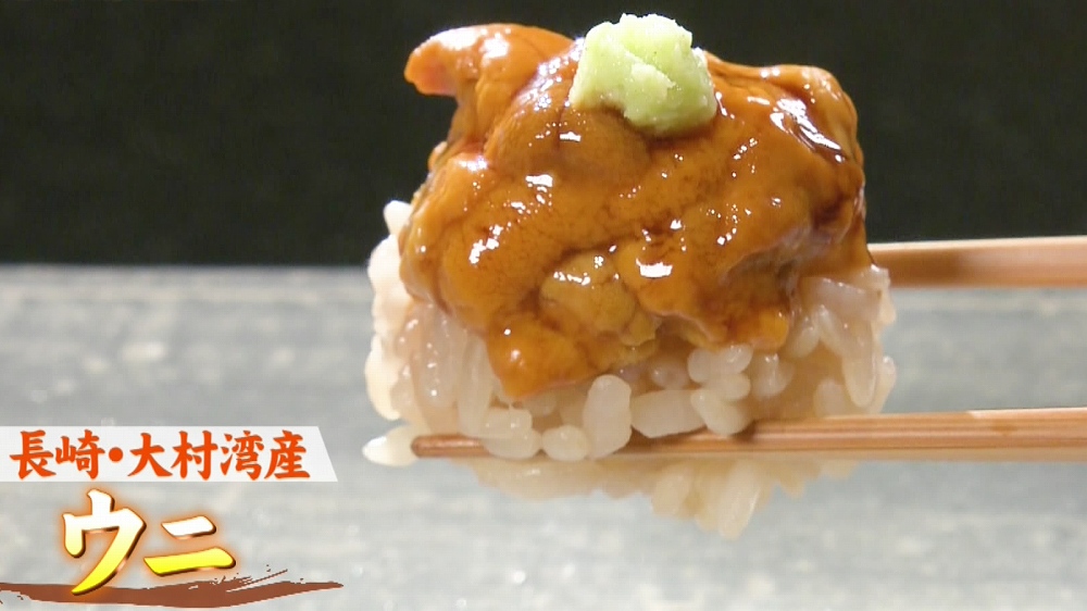 大村湾産のウニ