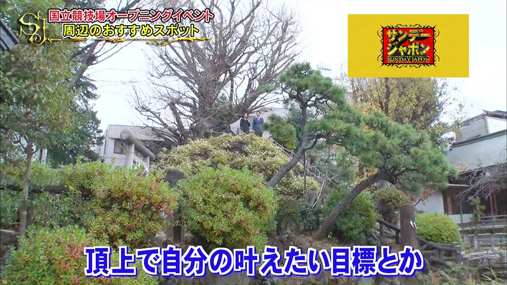 “頂上で自分の叶えたい目標などを叫ぶと願いが叶う”という話も