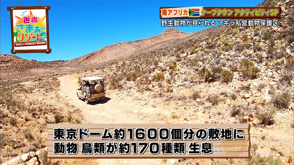 東京ドーム約1,600個分という広大な敷地に約170種類の動物や鳥類が生息