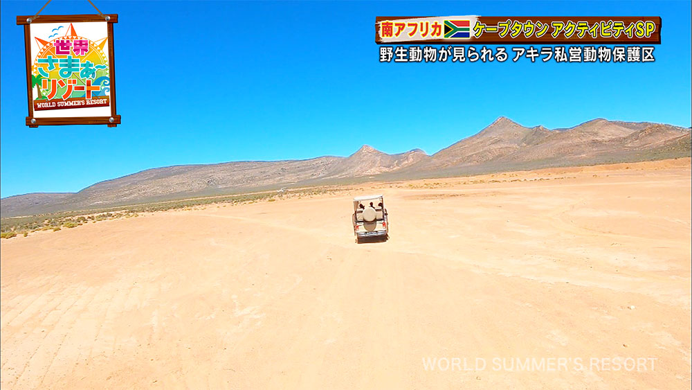 広大な敷地の中をドライブ