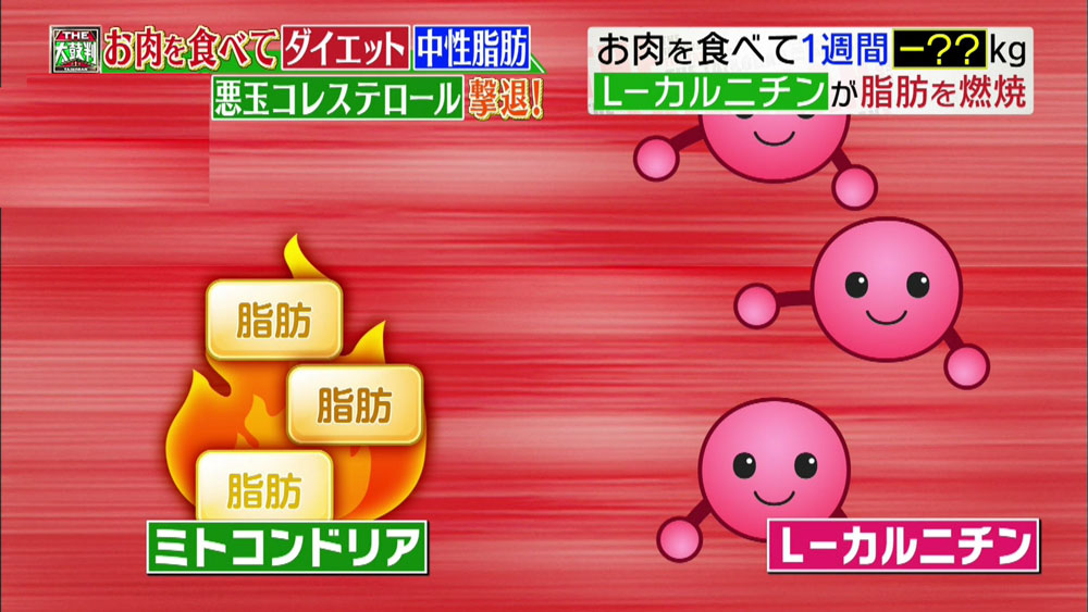 ミトコンドリアに脂肪を運ぶ「L-カルニチン」