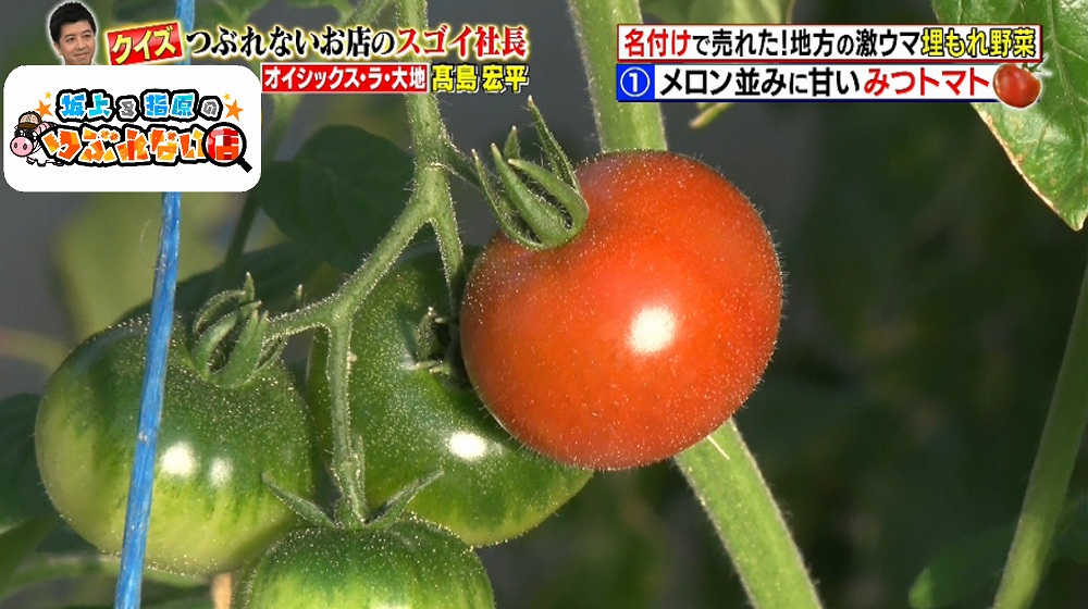 千葉県の香取市で若手農家さんが作っている甘くて小ぶりなトマト