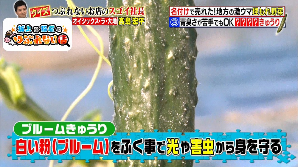「ブルーム」と呼ばれる白い粉