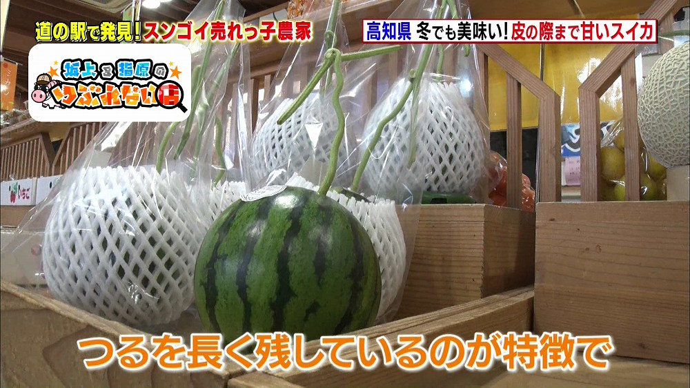 高知県・夜須町の江本農園で栽培されている「アンテナスイカ」