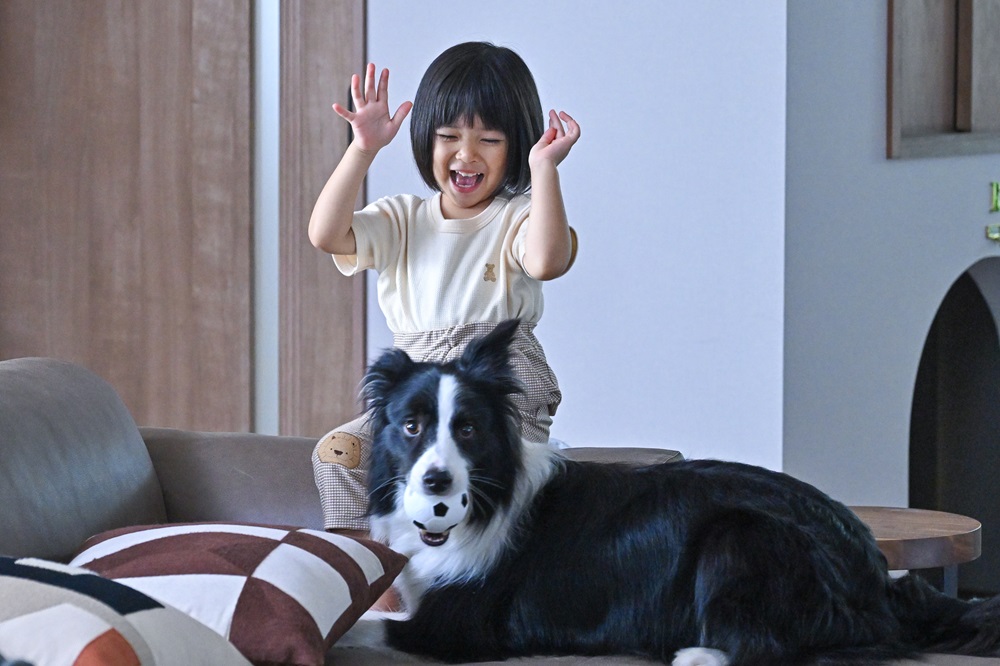 『西園寺さんは家事をしない』より