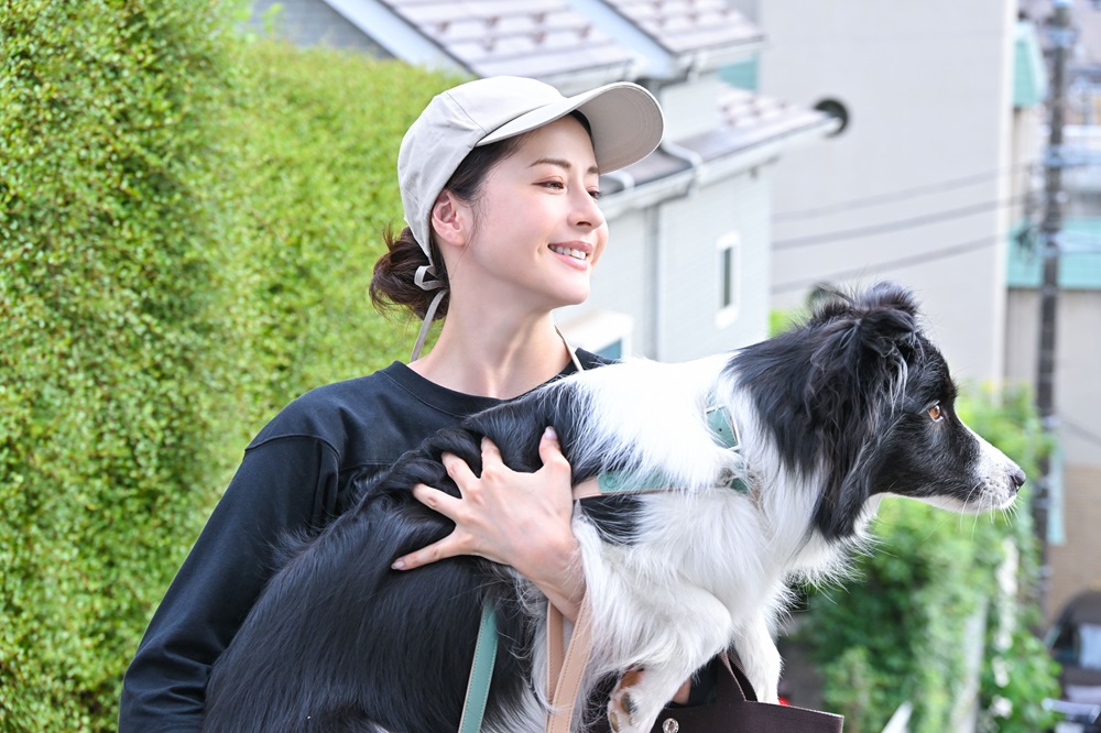 『西園寺さんは家事をしない』より秘密部屋
